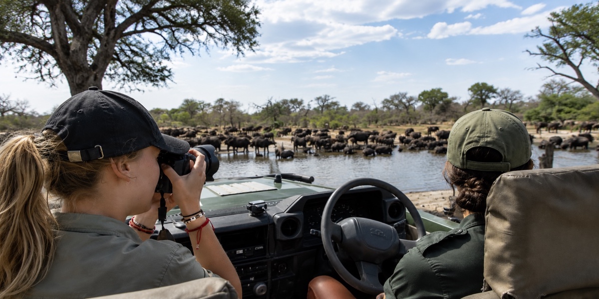 Wildlife fotografie stage, Greater Kruger Area, Zuid-Afrika