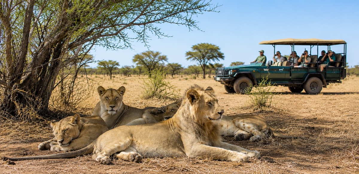 Big Five Wildlife Conservation project, Krugerpark, Zuid-Afrika