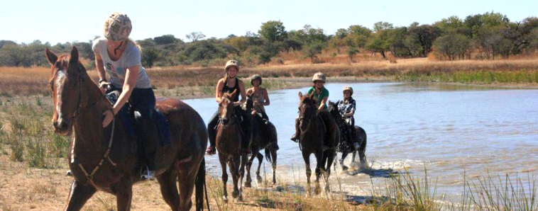Imire paardenproject, Zimbabwe