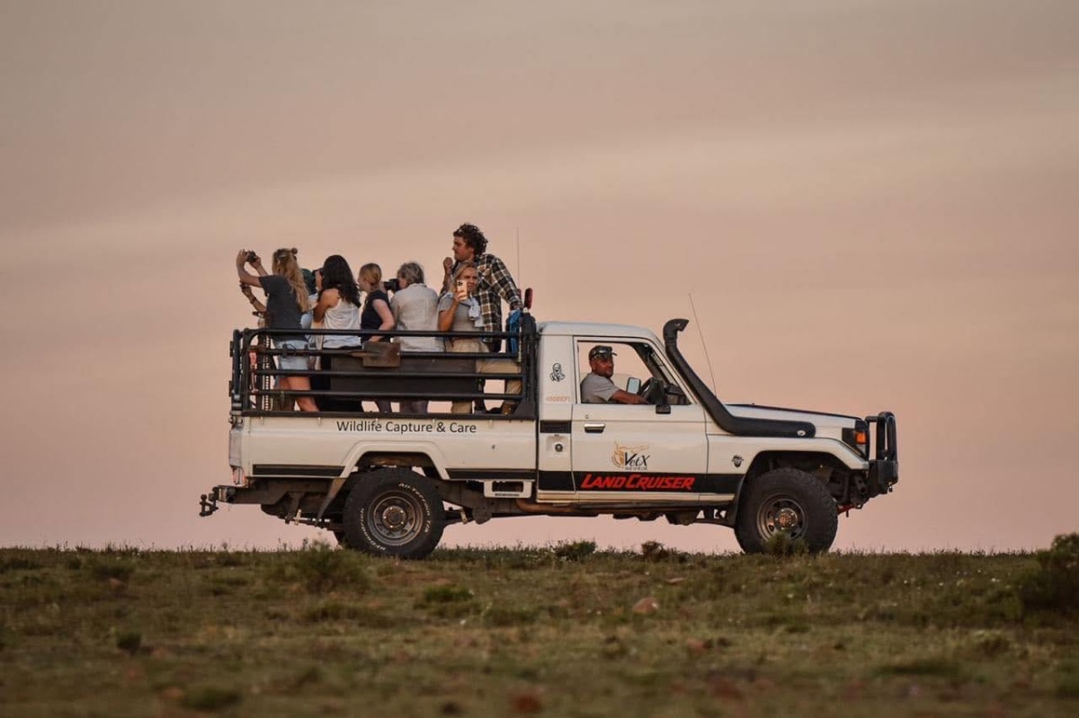 VetX Wildlife project, Zuid-Afrika